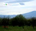 Снимка 5 — Парцел в с. Войнеговци