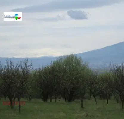 Снимка 5 — Парцел в с. Войнеговци