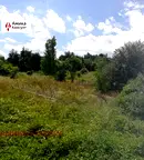 Парцел в София, Драгалевци