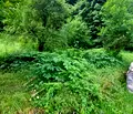 Снимка 5 — Парцел в Габрово, Етъра