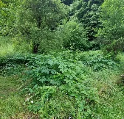 Снимка 5 — Парцел в Габрово, Етъра