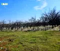 Снимка 5 — Парцел в Стара Загора, м-т Беш Бунар