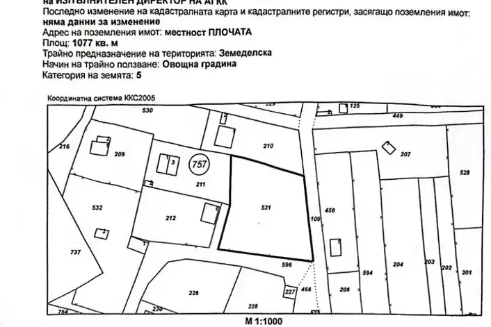 Plot in Pleven, Plochata