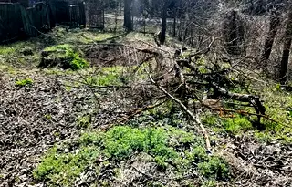 Парцел в Раз, Промишлена зона - Запад