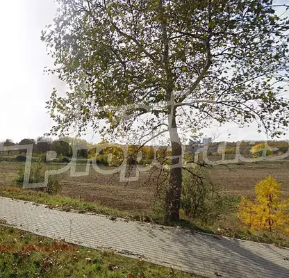 Photo 2 — Plot in Dobrich, Rilci