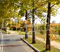 Снимка 5 — Парцел в Добрич, Рилци