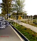 Парцел в Добрич, Рилци
