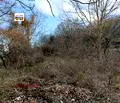 Снимка 5 — Парцел в Добрич, Балчик