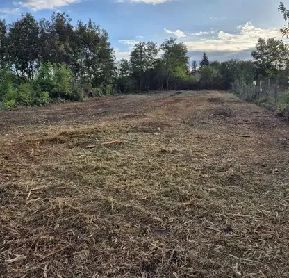 Photo 2 — Plot in Oblast Dobrich, Pobeda