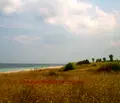 Снимка 2 — Парцел в Добрич, с. Сърнино