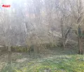 Снимка 4 — Парцел в Габрово, Плачковци