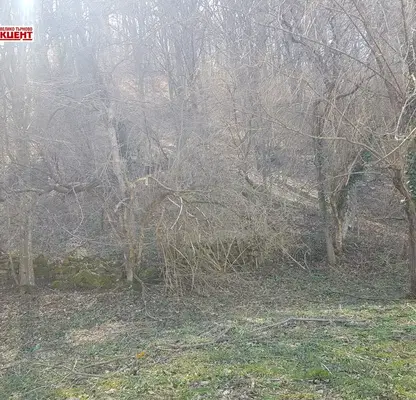 Photo 4 — Plot in Oblast Gabrovo, Plachkovci
