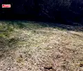 Снимка 5 — Парцел в Габрово, Плачковци