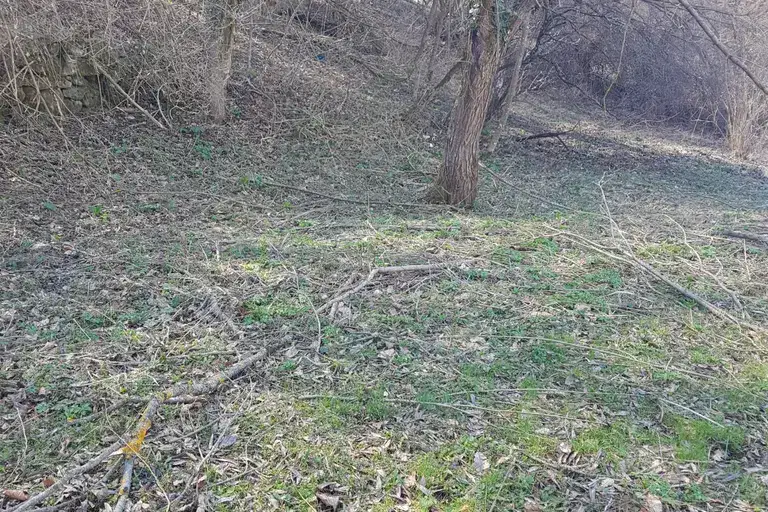 Plot in Oblast Gabrovo, Plachkovci