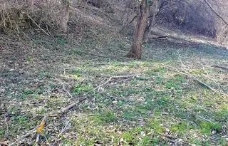 Парцел в Габрово, Плачковци