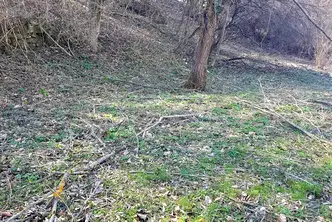 Парцел в Габрово, Плачковци