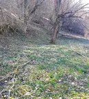 Парцел в Габрово, Плачковци