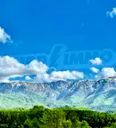 Парцел в Ловеч, Априлци