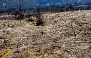 Парцел в Перник, с. Горна Диканя