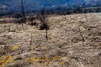 Парцел в Перник, с. Горна Диканя