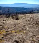Парцел в Перник, с. Горна Диканя