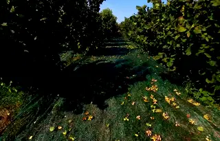 Парцел в Плевен, с. Обнова