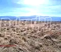Снимка 5 — Парцел в Пловдив, Куклен