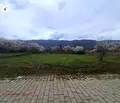 Снимка 3 — Парцел в Пловдив, с. Иганово