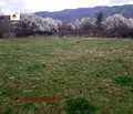 Снимка 4 — Парцел в Пловдив, с. Иганово