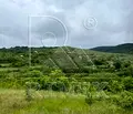Снимка 3 — Парцел в Пловдив, с. Първенец