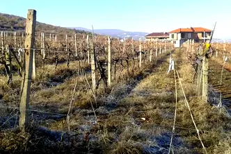 Парцел в Пловдив, с. Първенец