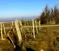 Снимка 3 — Парцел в Пловдив, с. Първенец