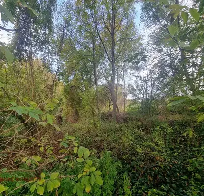 Photo 2 — Plot in Oblast Shumen, Lozevo