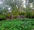 Снимка 5 — Парцел в Шумен, с. Лозево