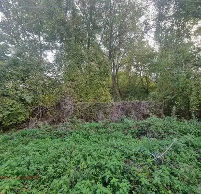 Photo 5 — Plot in Oblast Shumen, Lozevo