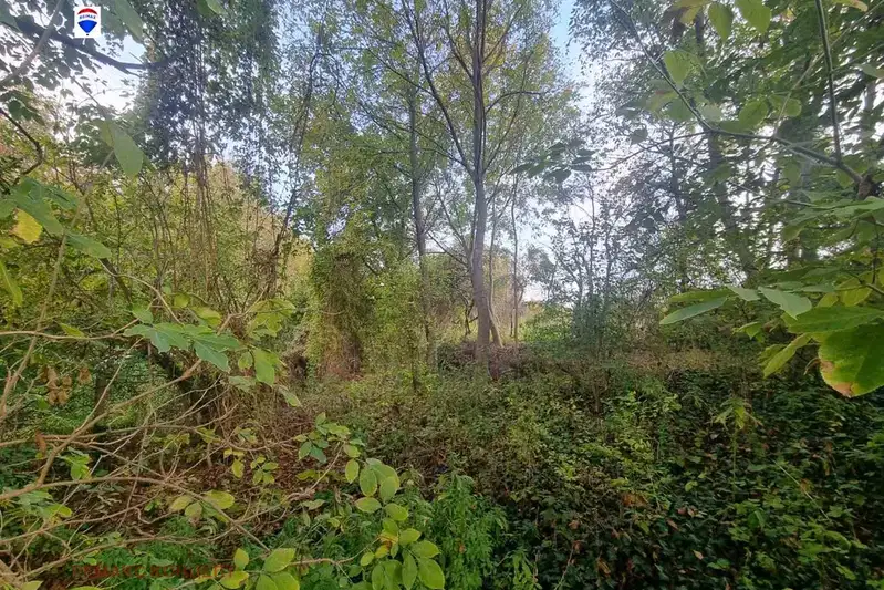 Plot in Oblast Shumen, Lozevo