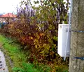 Снимка 3 — Парцел в София, Правец