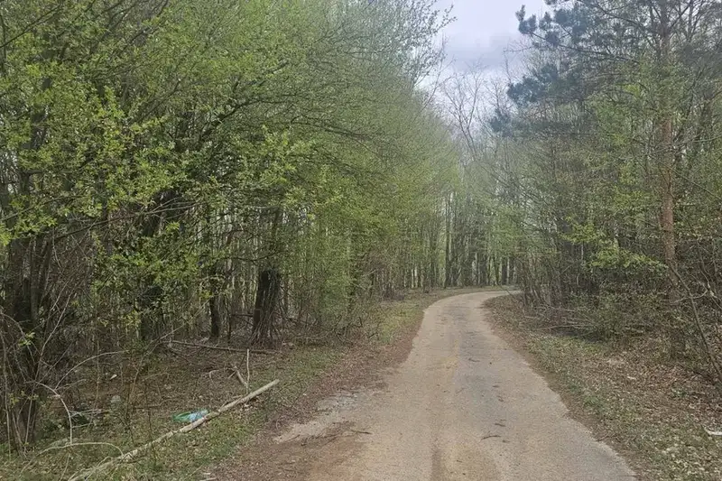 Парцел в София, Правец