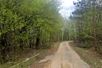 Парцел в София, Правец