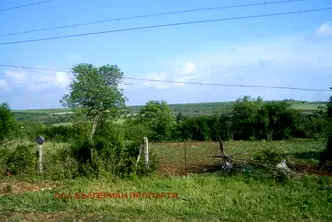 Парцел в Търговище, с. Паламарца