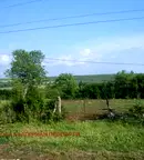 Парцел в Търговище, с. Паламарца