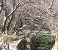 Снимка 4 — Парцел във Варна, с. Радево