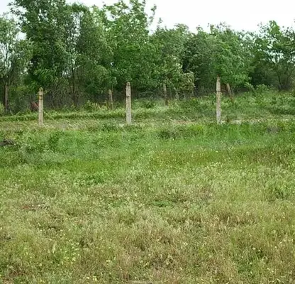 Photo 2 — Plot in Oblast Yambol, Elhovo