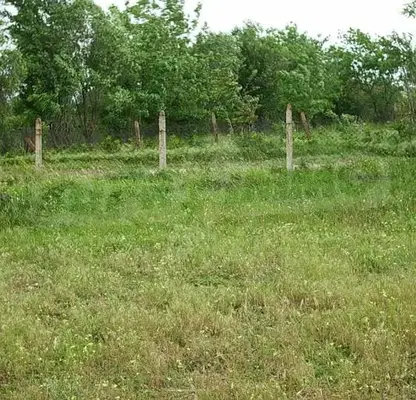 Photo 3 — Plot in Oblast Yambol, Elhovo