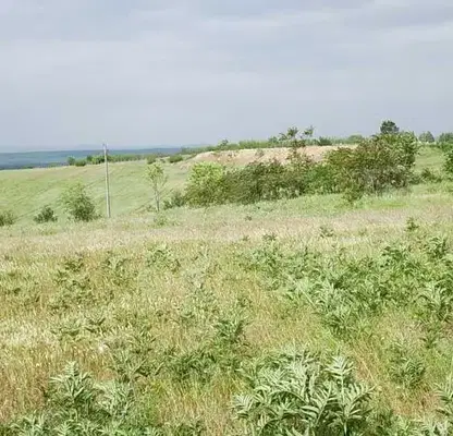 Photo 5 — Plot in Yambol, Elhovo