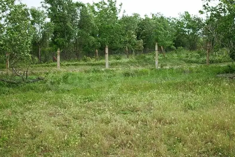 Plot in Oblast Yambol, Elhovo
