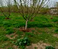 Снимка 5 — Промишлена сграда в Плевен, с. Обнова