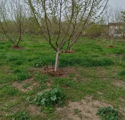 Снимка 5 — Промишлена сграда в Плевен, с. Обнова