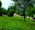 Снимка 5 — Къща в Банкя