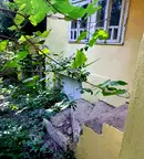 Къща в Разград, с. Юпер